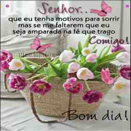 Bom dia  - Vídeo  Saudações para Redes Sociais
