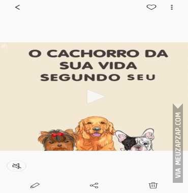 O cão de cada signo - Vídeo Animais para Redes Sociais