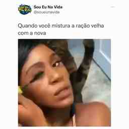 Quando eu misturo a ração do meu gato - Vídeo  Engraçados para Redes Sociais