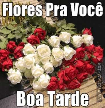 Boa tarde - Vídeo  Saudações para Redes Sociais