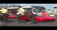 Cavalo thug life - Vídeo Thug Life para Redes Sociais