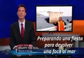 Boa ação virou refeição - Vídeo   TV para Redes Sociais